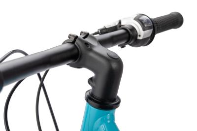 NALOO Chameleon 20", Mk2, 8-Speed, Light Blue Produktbild 4